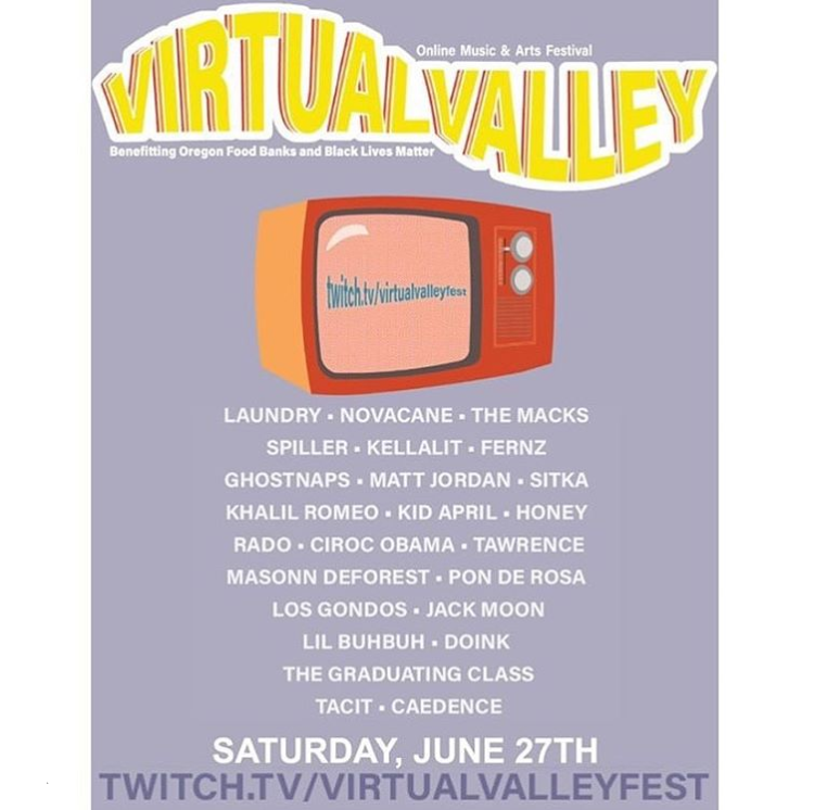 Virtual Valley Music Festival Lineup. Courtesy of instagram.com/virtualvalleyfest